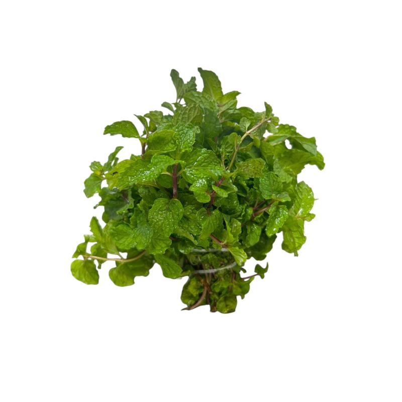 Herbes menthe JO