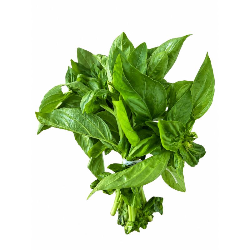 Herbes basilic JO