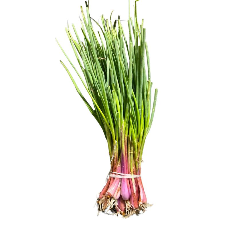 Herbes ciboulette JO