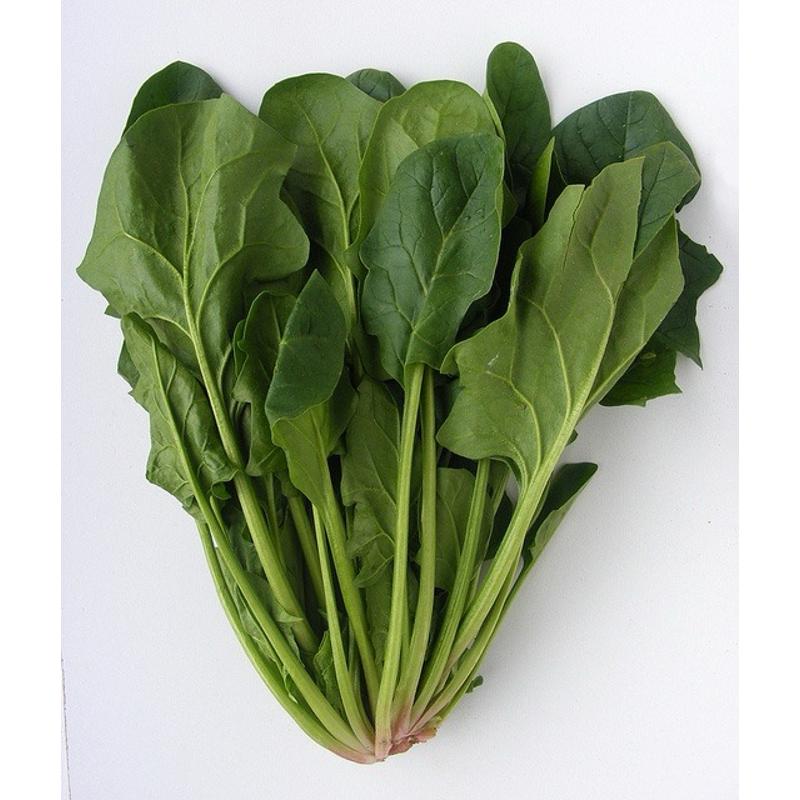 Salade roquette JO